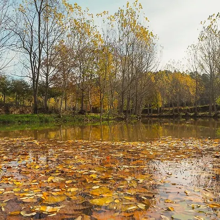 Villa La Argencola, A La Catalunya