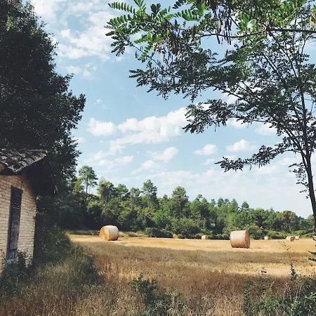 La Argencola, A La Catalunya *